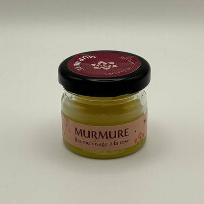 Verzorgende gezichtsbalsem | 12,5 gram